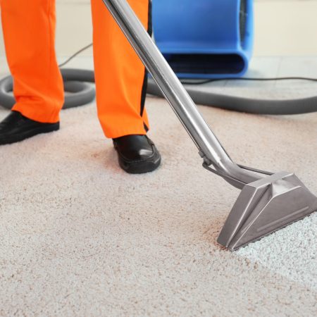 Cleaning service concept. Dry cleaner's employee removing dirt from carpet in flat, closeup